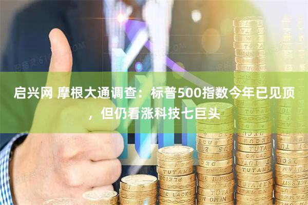 启兴网 摩根大通调查：标普500指数今年已见顶，但仍看涨科技七巨头