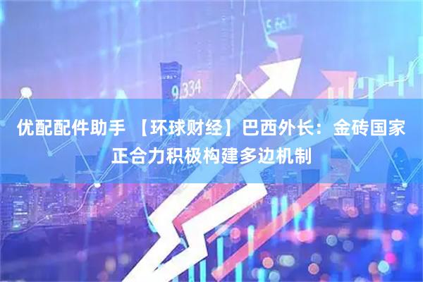 优配配件助手 【环球财经】巴西外长：金砖国家正合力积极构建多边机制
