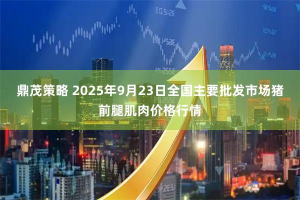 鼎茂策略 2025年9月23日全国主要批发市场猪前腿肌肉价格行情