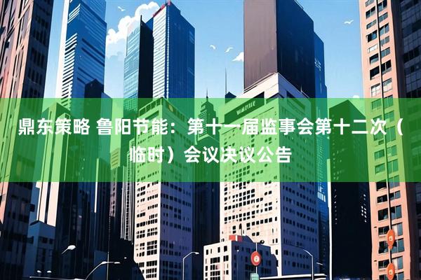 鼎东策略 鲁阳节能：第十一届监事会第十二次（临时）会议决议公告