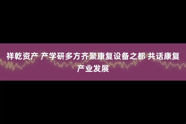 祥乾资产 产学研多方齐聚康复设备之都 共话康复产业发展